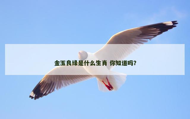 金玉良缘是什么生肖 你知道吗？