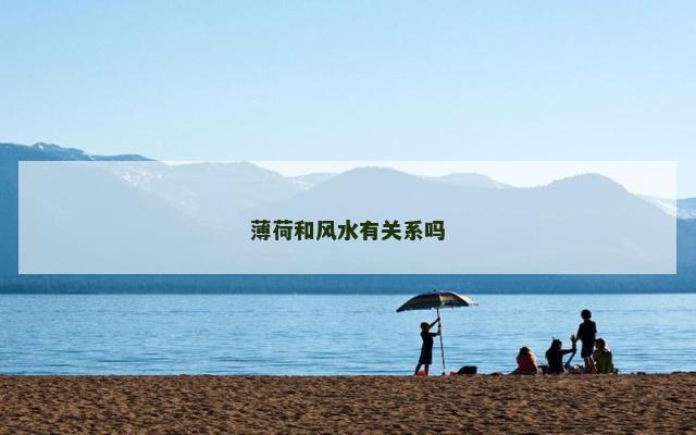 薄荷和风水有关系吗