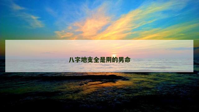 八字地支全是阴的男命