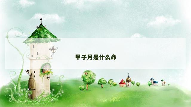 甲子月是什么命