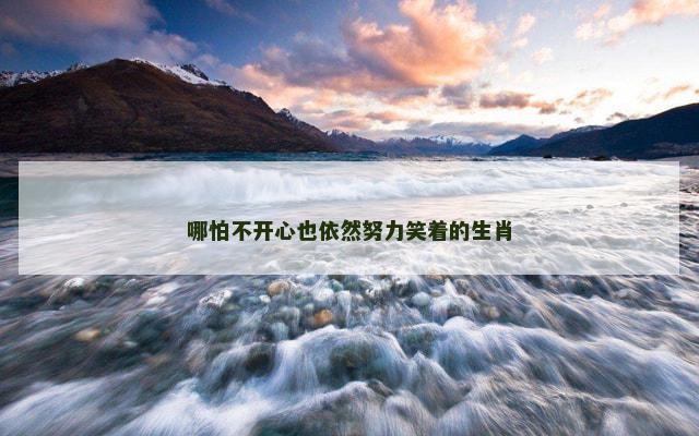 哪怕不开心也依然努力笑着的生肖