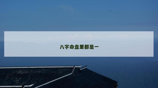 八字命盘里都是一
