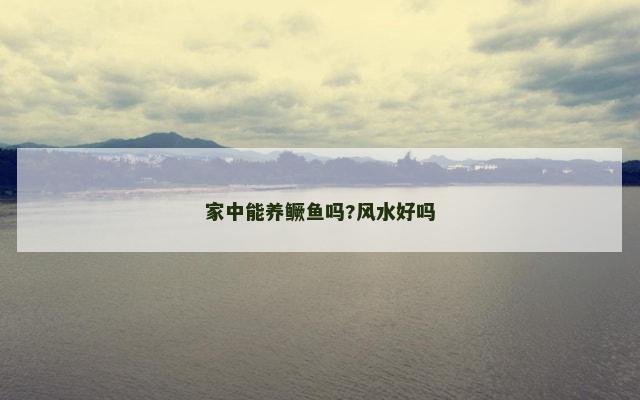 家中能养鳜鱼吗?风水好吗
