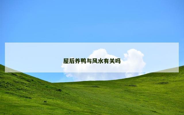 屋后养鸭与风水有关吗
