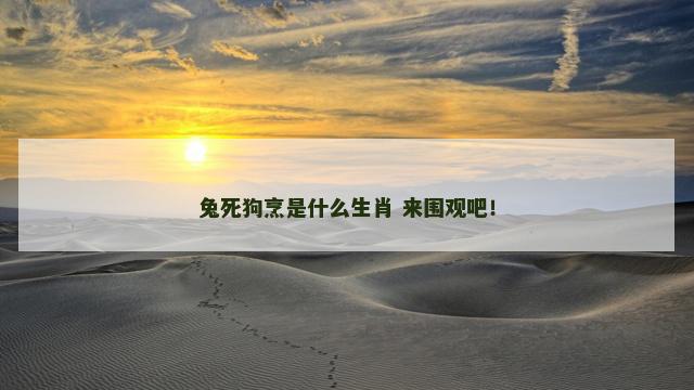 兔死狗烹是什么生肖 来围观吧！