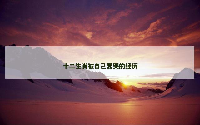 十二生肖被自己蠢哭的经历