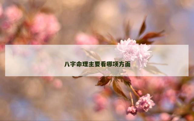 八字命理主要看哪项方面