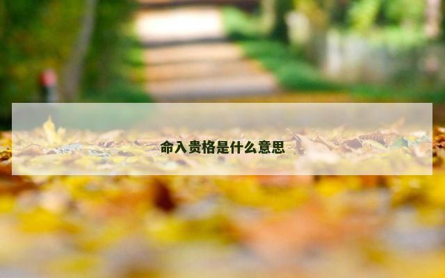 命入贵格是什么意思