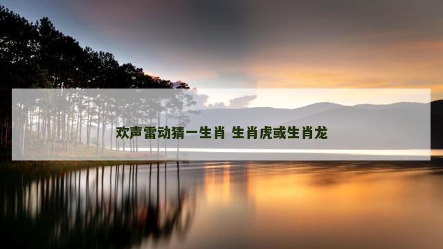 欢声雷动猜一生肖 生肖虎或生肖龙