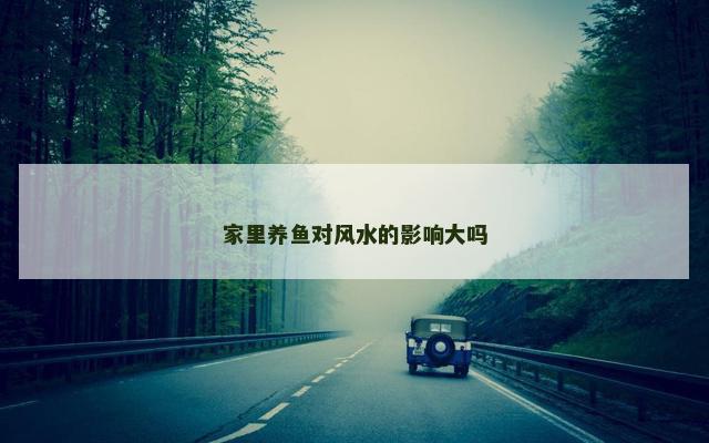 家里养鱼对风水的影响大吗