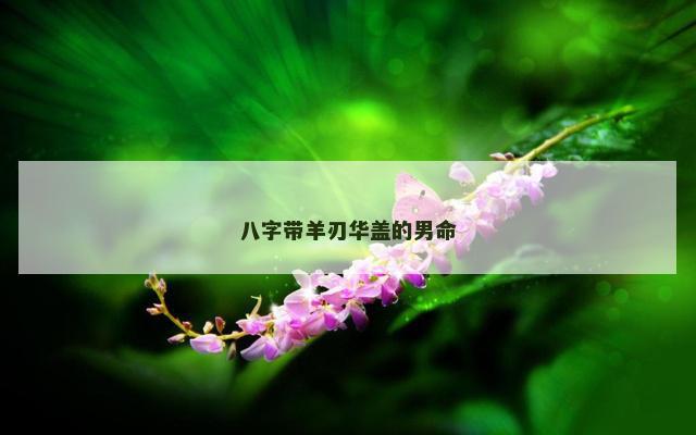 八字带羊刃华盖的男命