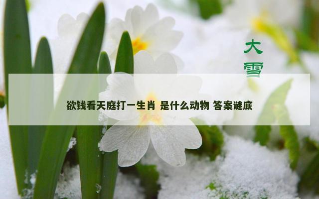 欲钱看天庭打一生肖 是什么动物 答案谜底
