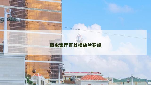 风水客厅可以摆放兰花吗