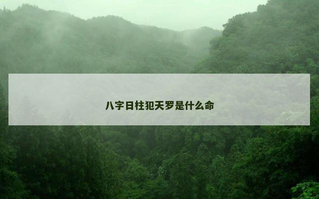 八字日柱犯天罗是什么命