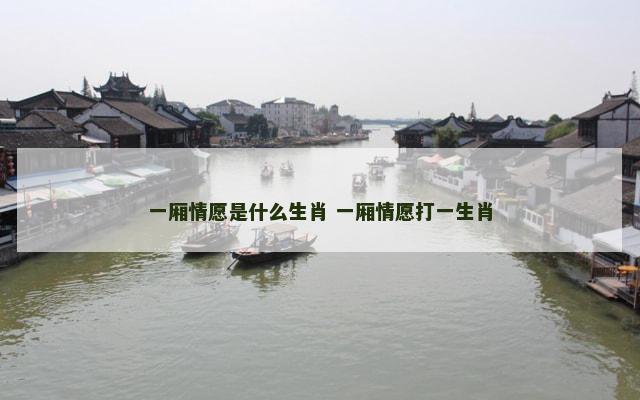 一厢情愿是什么生肖 一厢情愿打一生肖