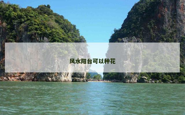 风水阳台可以种花