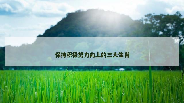 保持积极努力向上的三大生肖