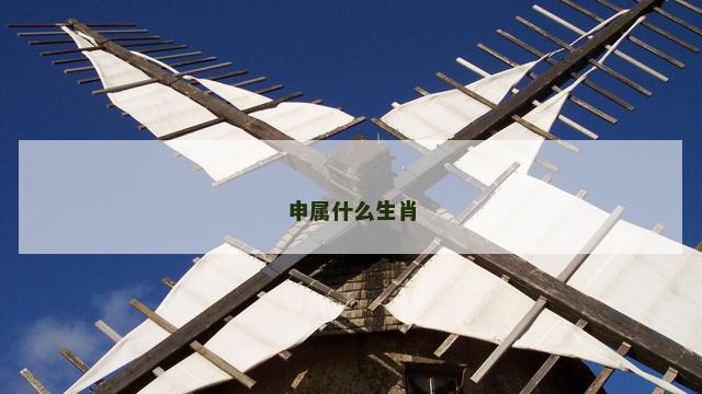 申属什么生肖