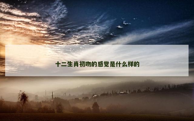 十二生肖初吻的感觉是什么样的