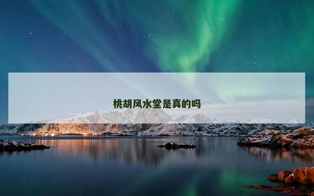 桃胡风水堂是真的吗