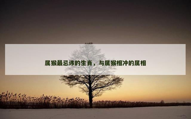 属猴最忌讳的生肖，与属猴相冲的属相