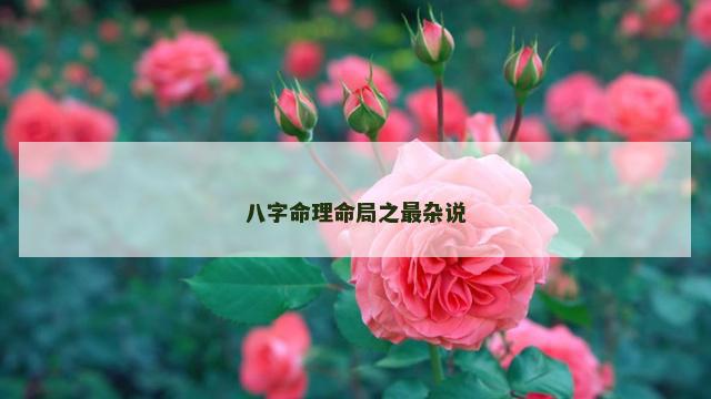 八字命理命局之最杂说
