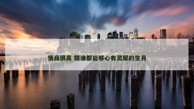 情商很高 跟谁都能够心有灵犀的生肖