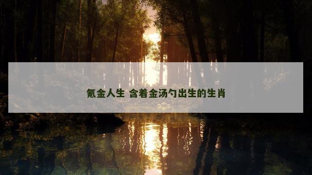 氪金人生 含着金汤勺出生的生肖