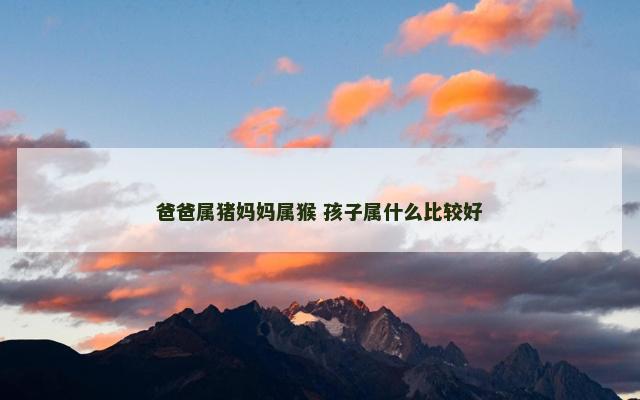 爸爸属猪妈妈属猴 孩子属什么比较好