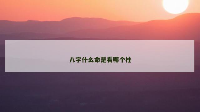 八字什么命是看哪个柱