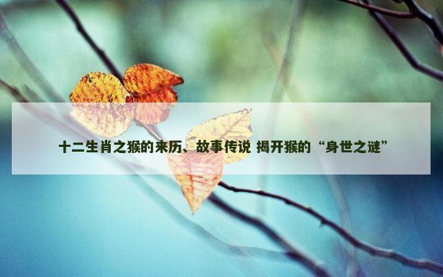 十二生肖之猴的来历、故事传说 揭开猴的“身世之谜”