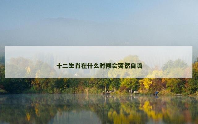 十二生肖在什么时候会突然自嗨