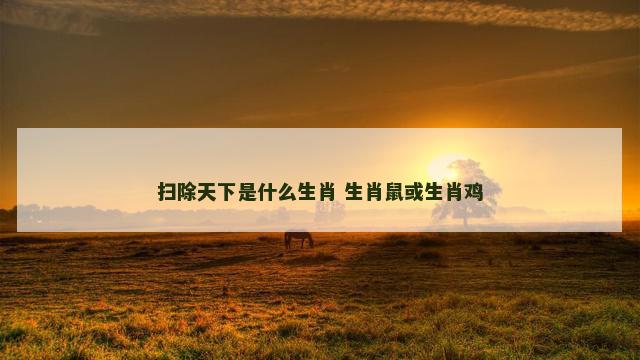 扫除天下是什么生肖 生肖鼠或生肖鸡