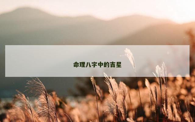 命理八字中的吉星