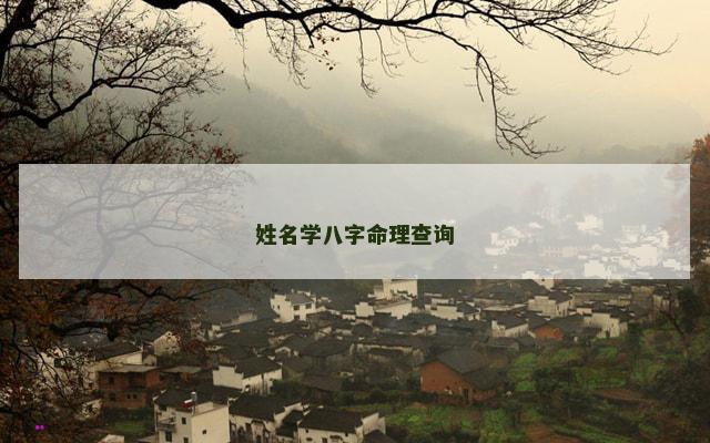 姓名学八字命理查询