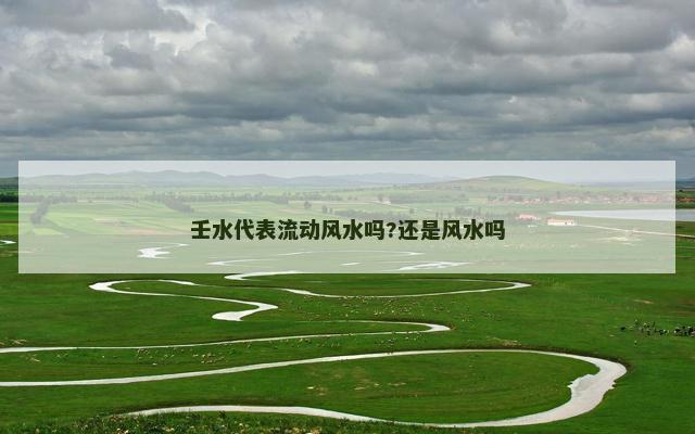 壬水代表流动风水吗?还是风水吗