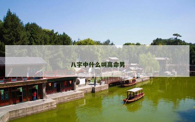 八字中什么叫高命男
