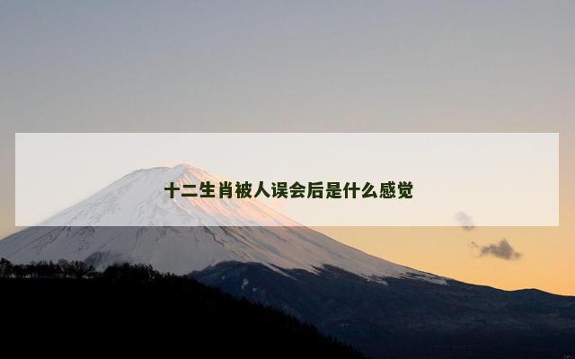十二生肖被人误会后是什么感觉