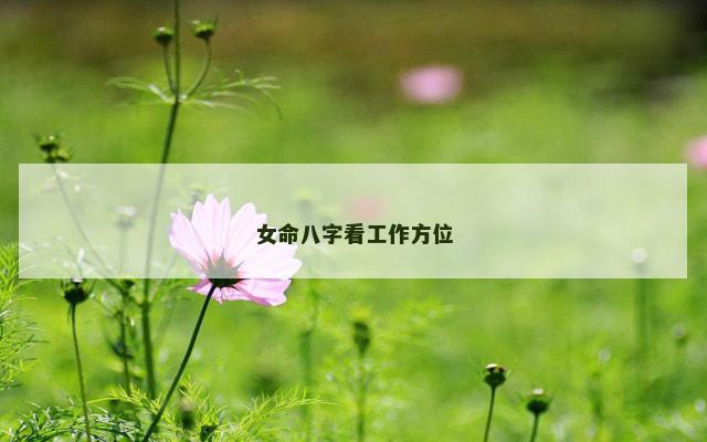 女命八字看工作方位