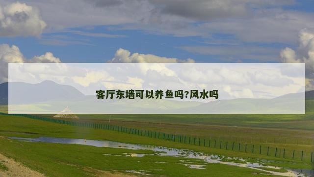 客厅东墙可以养鱼吗?风水吗