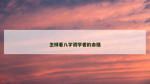 怎样看八字初学者的命格