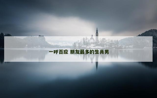 一呼百应 朋友最多的生肖男