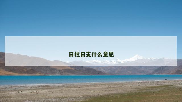 日柱日支什么意思