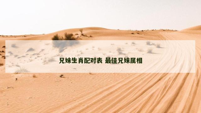 兄妹生肖配对表 最佳兄妹属相