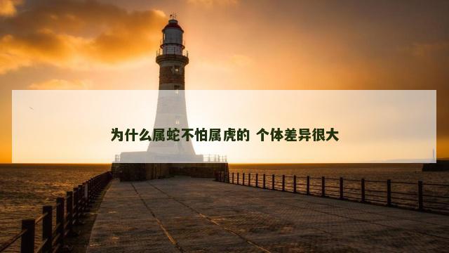 为什么属蛇不怕属虎的 个体差异很大