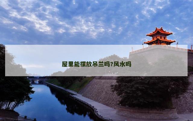 屋里能摆放吊兰吗?风水吗