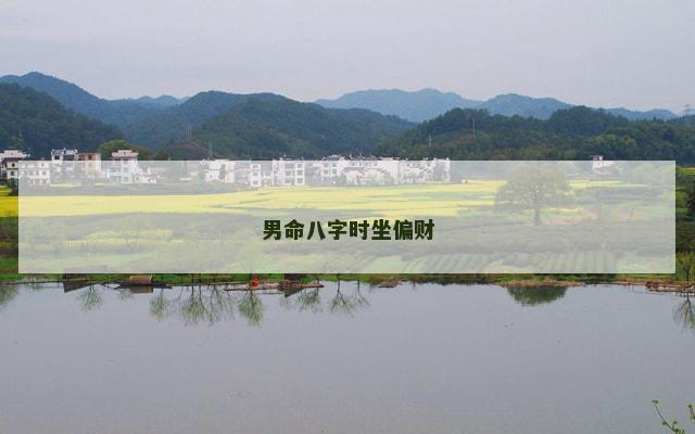 男命八字时坐偏财