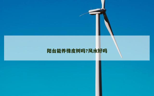 阳台能养橡皮树吗?风水好吗