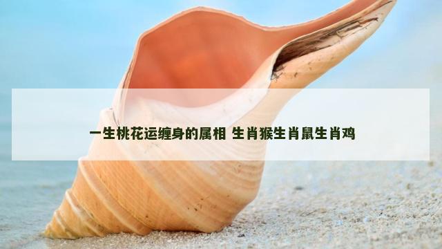 一生桃花运缠身的属相 生肖猴生肖鼠生肖鸡 一生桃花运缠身的属相 生肖猴生肖鼠生肖鸡