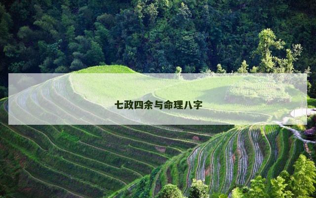 七政四余与命理八字